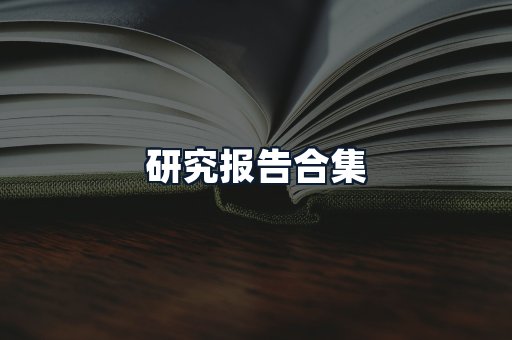 研究报告合集